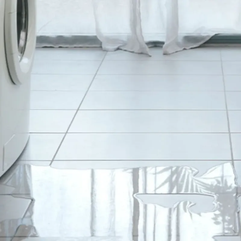Appliance Leak Cleanup in Smackover, AR