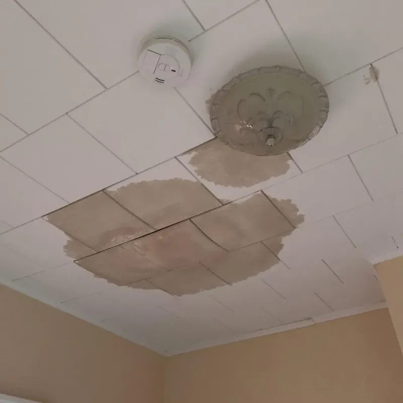 Ceiling Water Damage Repair in Smackover, AR