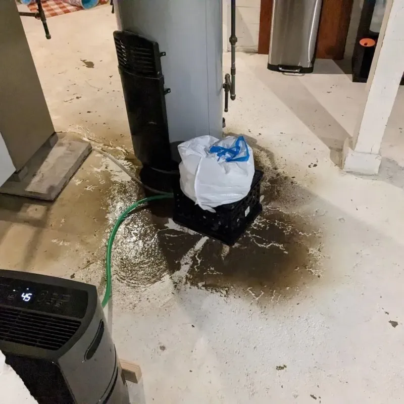 Sewage Backup Cleanup Service in Smackover, AR